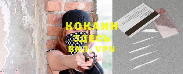 гидропоника Карпинск