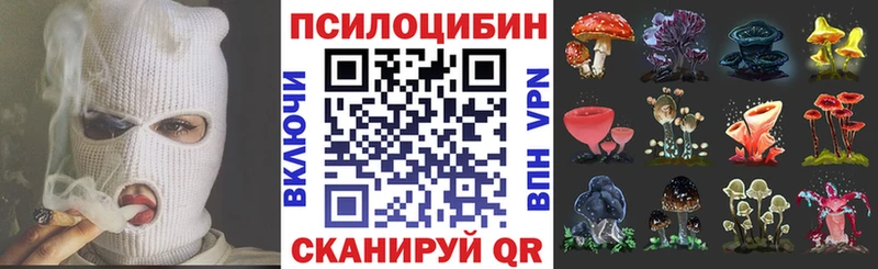 Купить закладки  Бобров  Псилоцибиновые грибы мицелий 