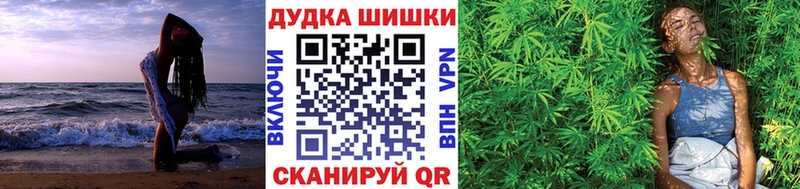 Конопля планчик  Купить закладки  Бобров 